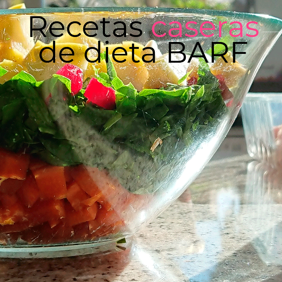 Recetas Dieta Barf para perros - Comprar dieta Barf preparada. Alimentacion  Barf dieta