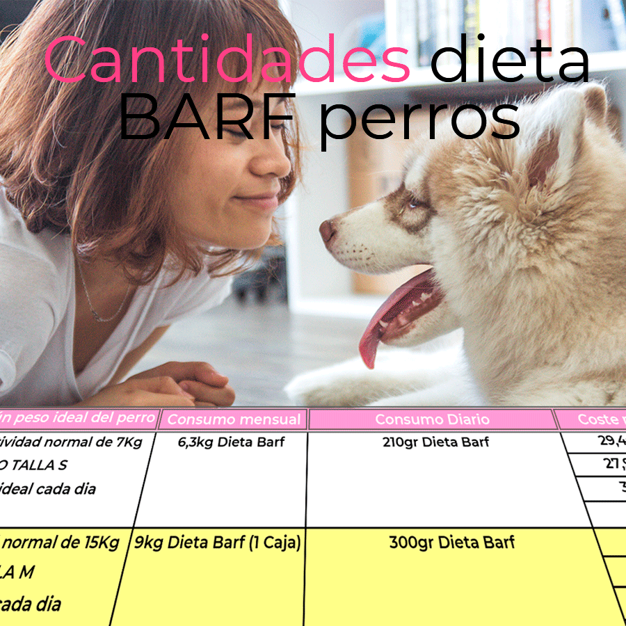 Cantidades Dieta Barf para perros