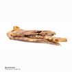 Foto de SNACK AORTA DE TERNERA ENTERA 25UD