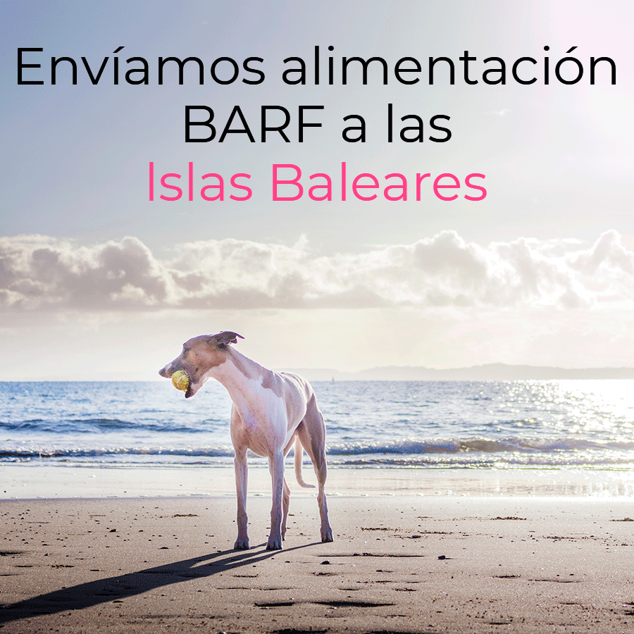 ¿Enviamos alimentación BARF a las Islas Baleares?