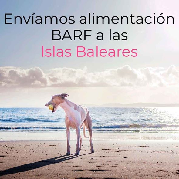 ¿Enviamos alimentación BARF a las Islas Baleares?