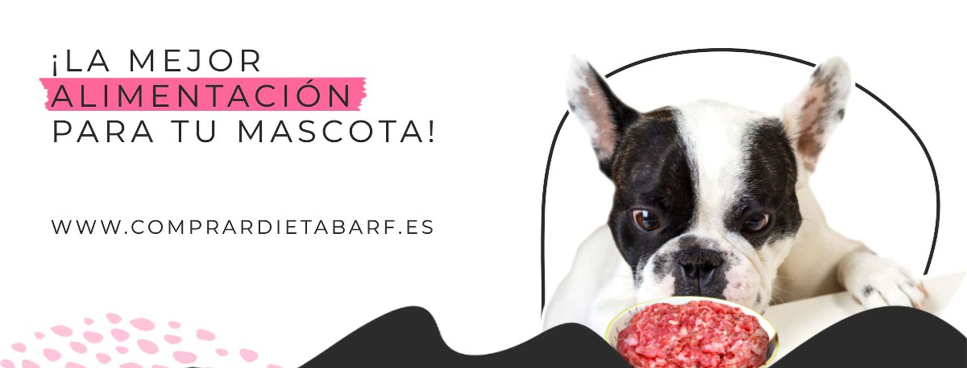 La mejor alimentación para tu mascota