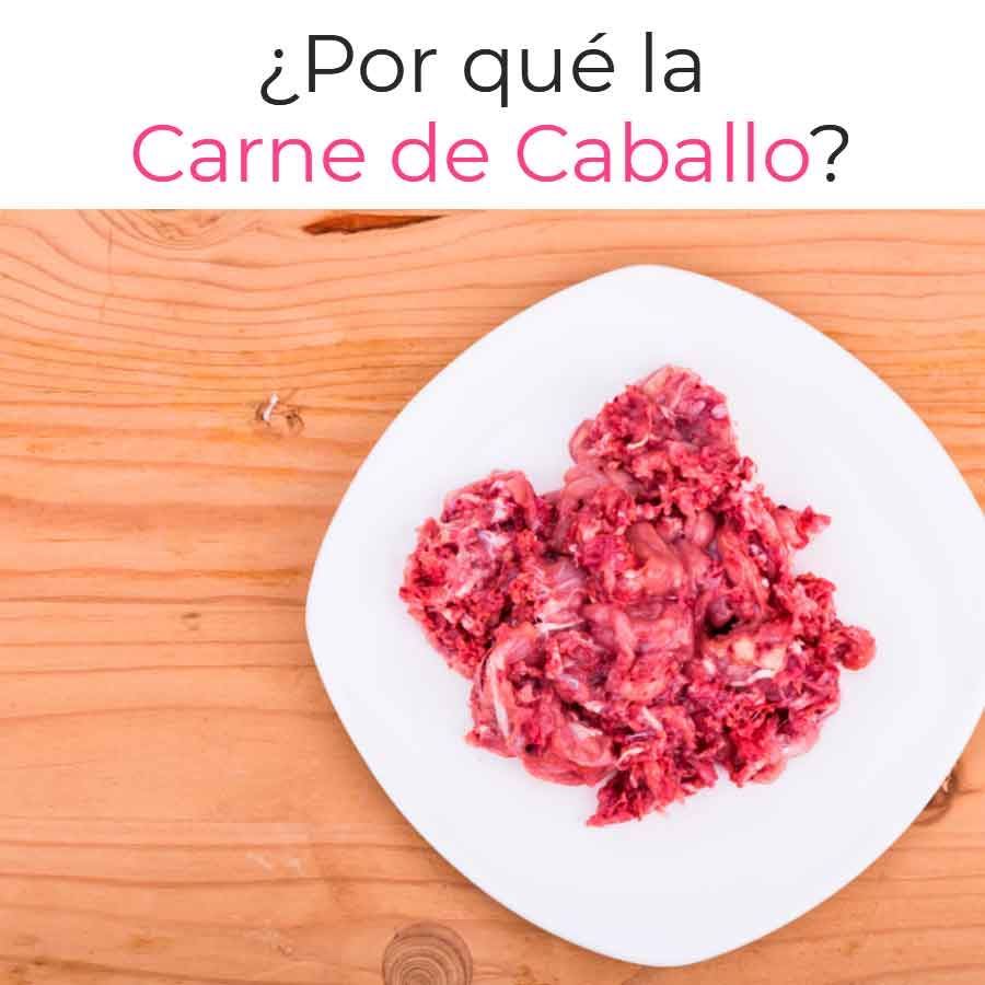 Los Beneficios de la Carne de Caballo para perros y gatos