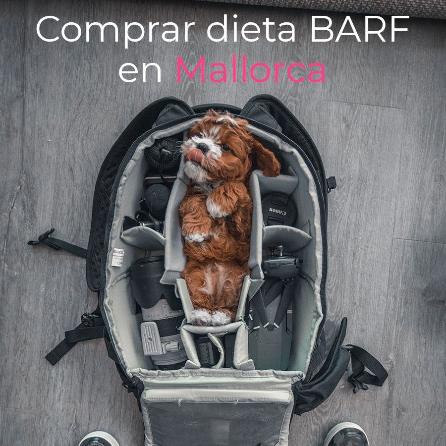 ¡Compra dieta Barf en Mallorca!