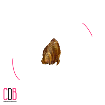 Foto de Oreja de cerdo deshidratada 1UD (pack de 5 unidades)